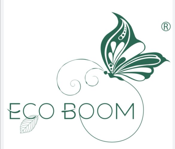 Eco Boom Bamboo Nappies Logo