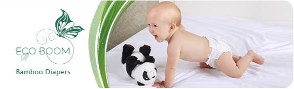 Biodegradable Eco Boom Nappies Banner